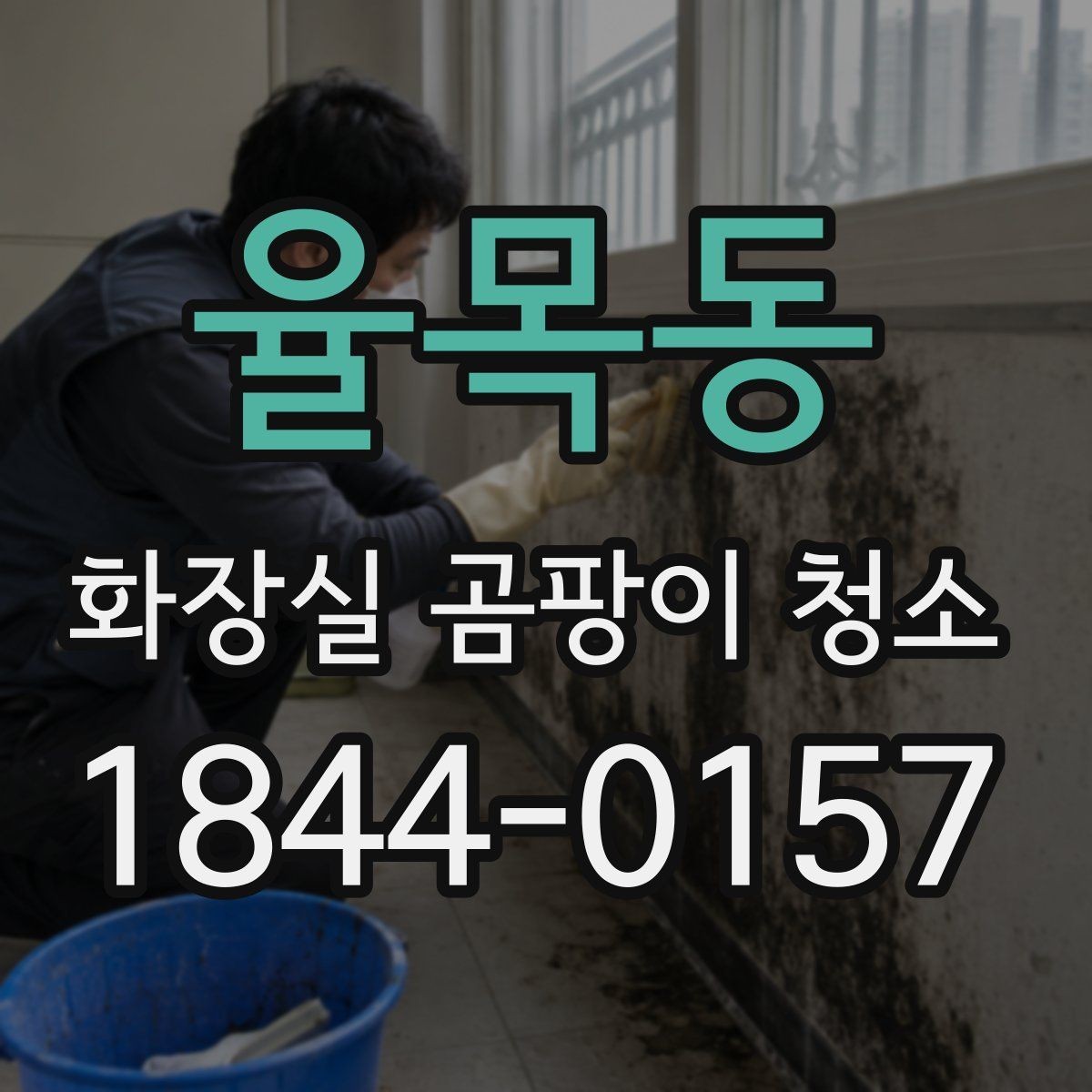 율목동 화장실 곰팡이 청소 거품형 세정제가 잘 맞는 표면 살펴보기