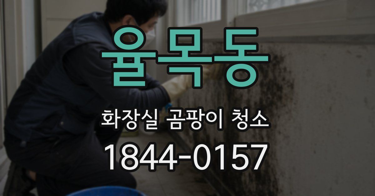 율목동 화장실 곰팡이 청소