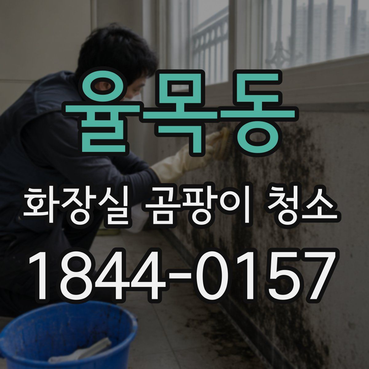 율목동 화장실 곰팡이 청소