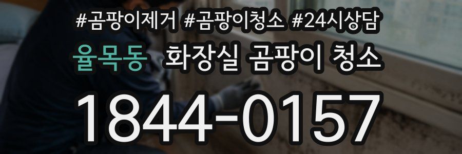 율목동 화장실 곰팡이 청소