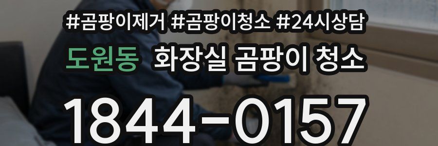 도원동 화장실 곰팡이 청소