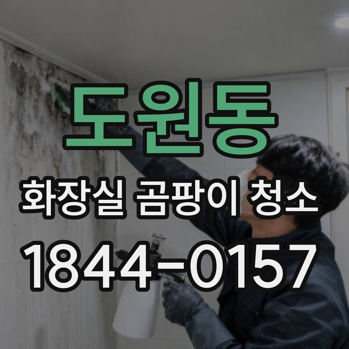 도원동 화장실 곰팡이 청소