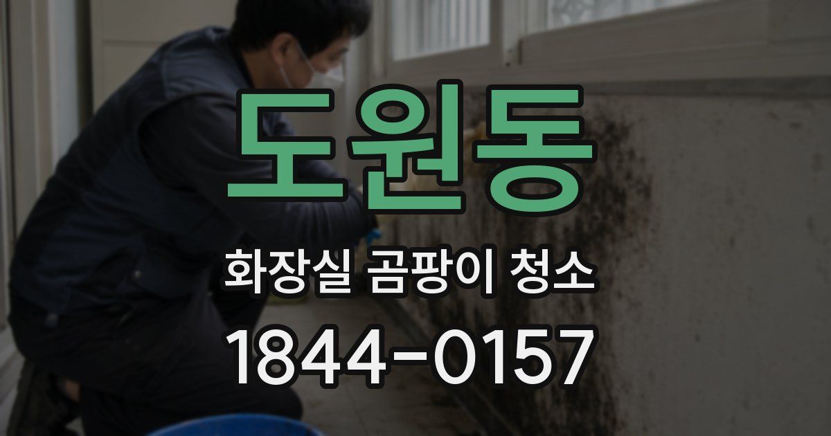 도원동 화장실 곰팡이 청소