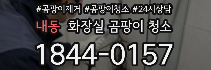 내동 화장실 곰팡이 청소