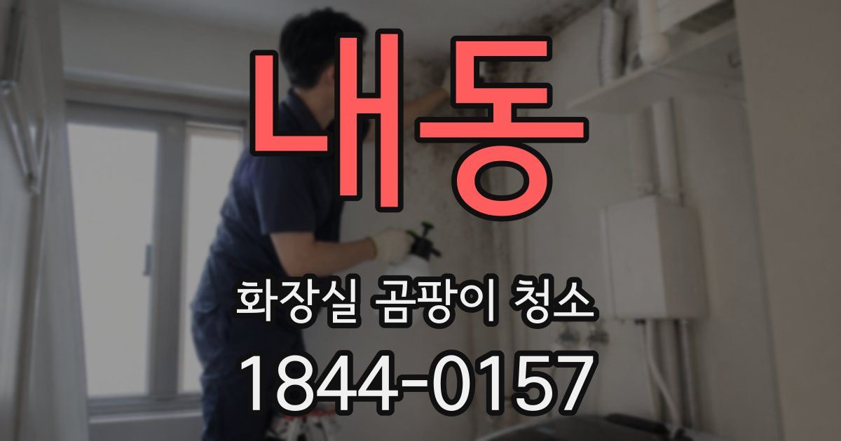 내동 화장실 곰팡이 청소