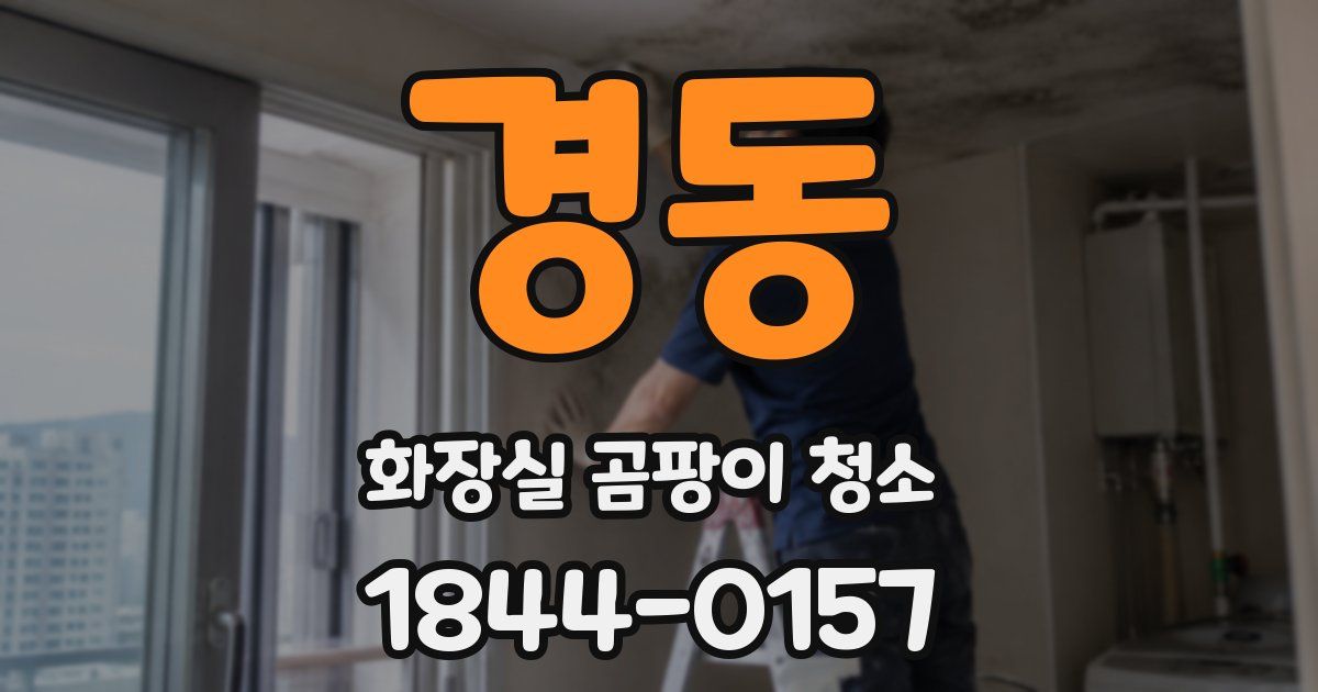 경동 화장실 곰팡이 청소