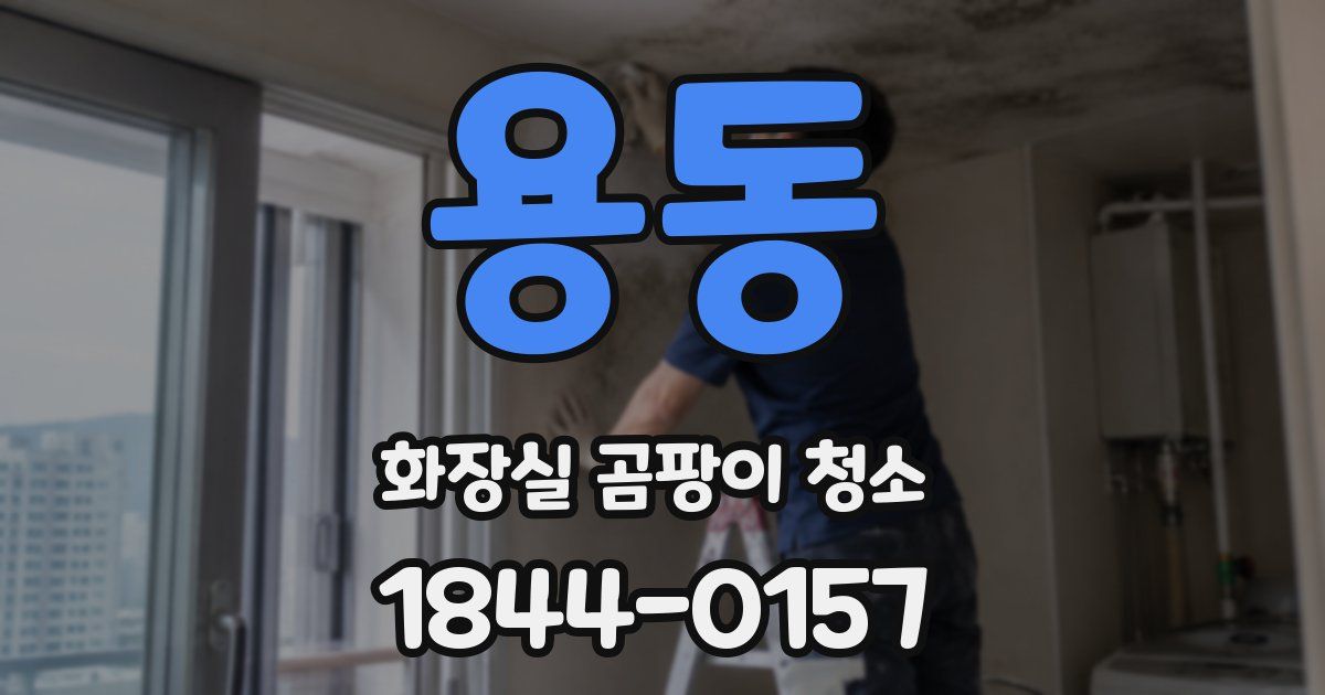 용동 화장실 곰팡이 청소