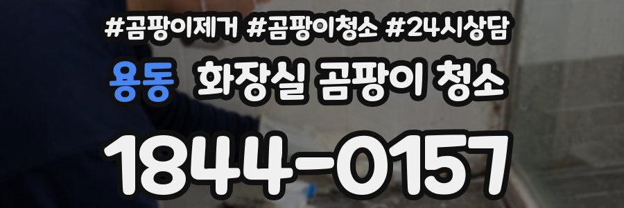 용동 화장실 곰팡이 청소