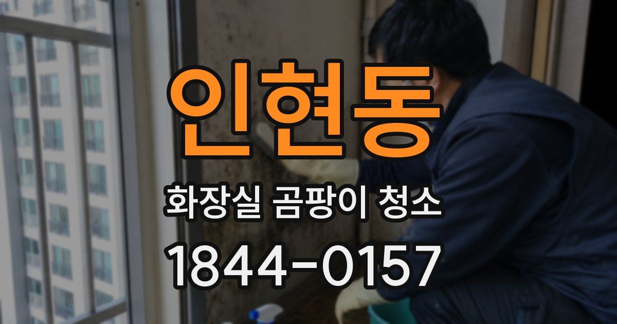 인현동 화장실 곰팡이 청소