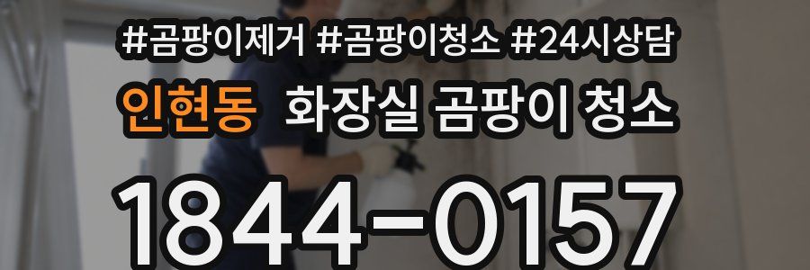 인현동 화장실 곰팡이 청소