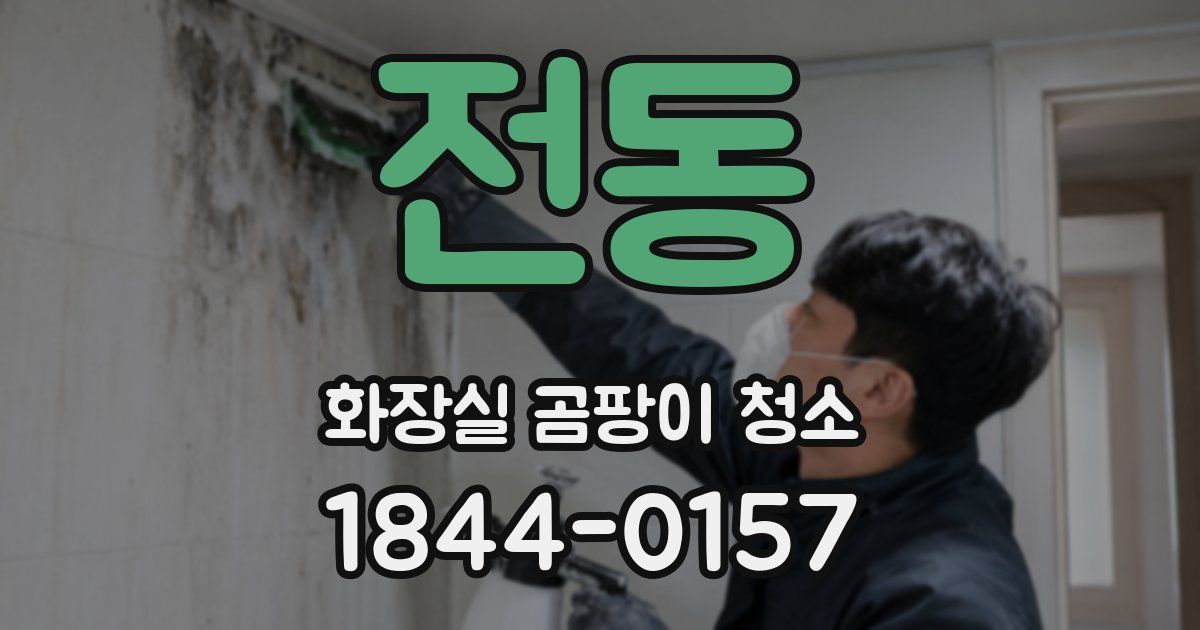 전동 화장실 곰팡이 청소