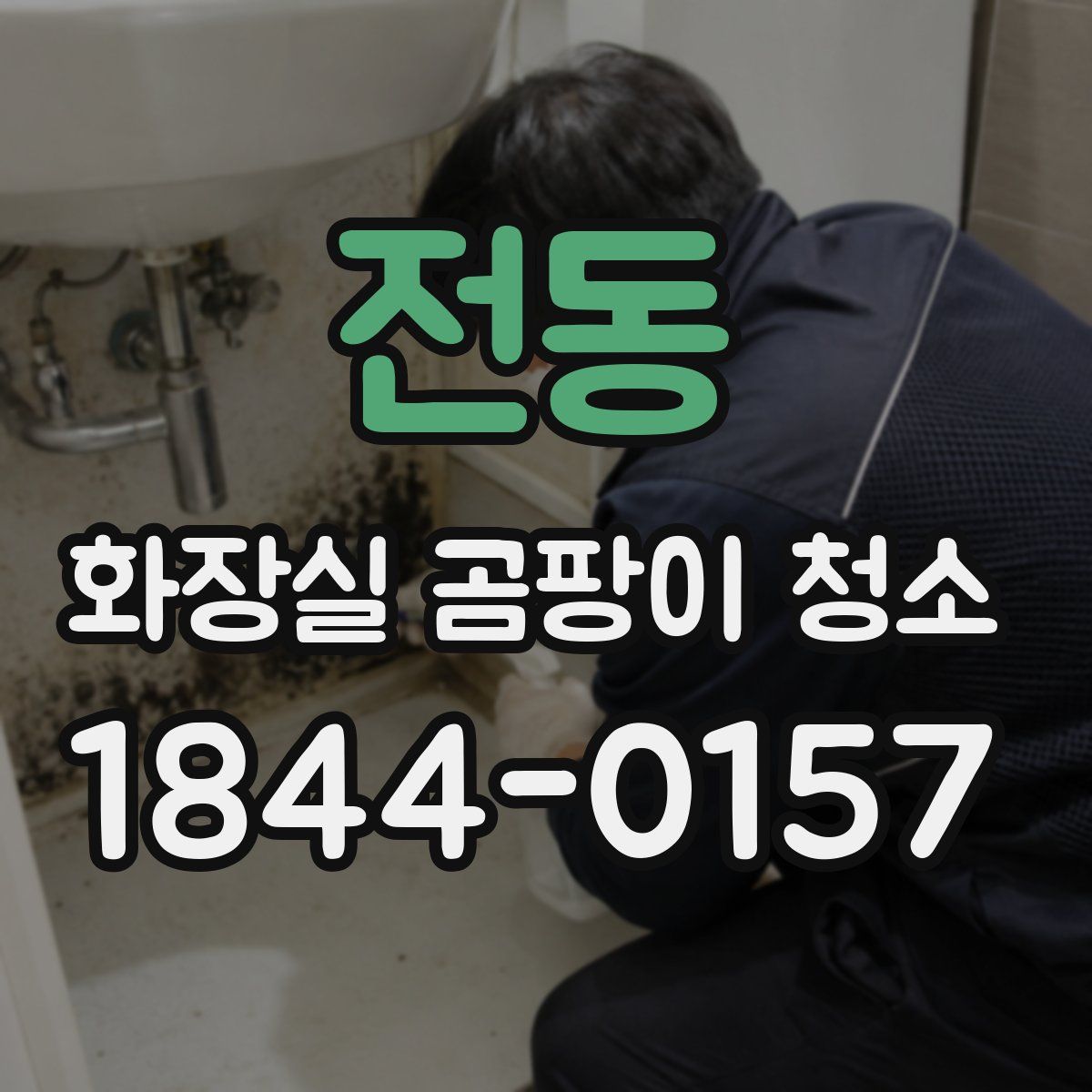 전동 화장실 곰팡이 청소