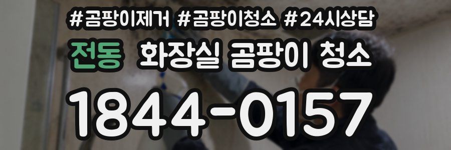 전동 화장실 곰팡이 청소