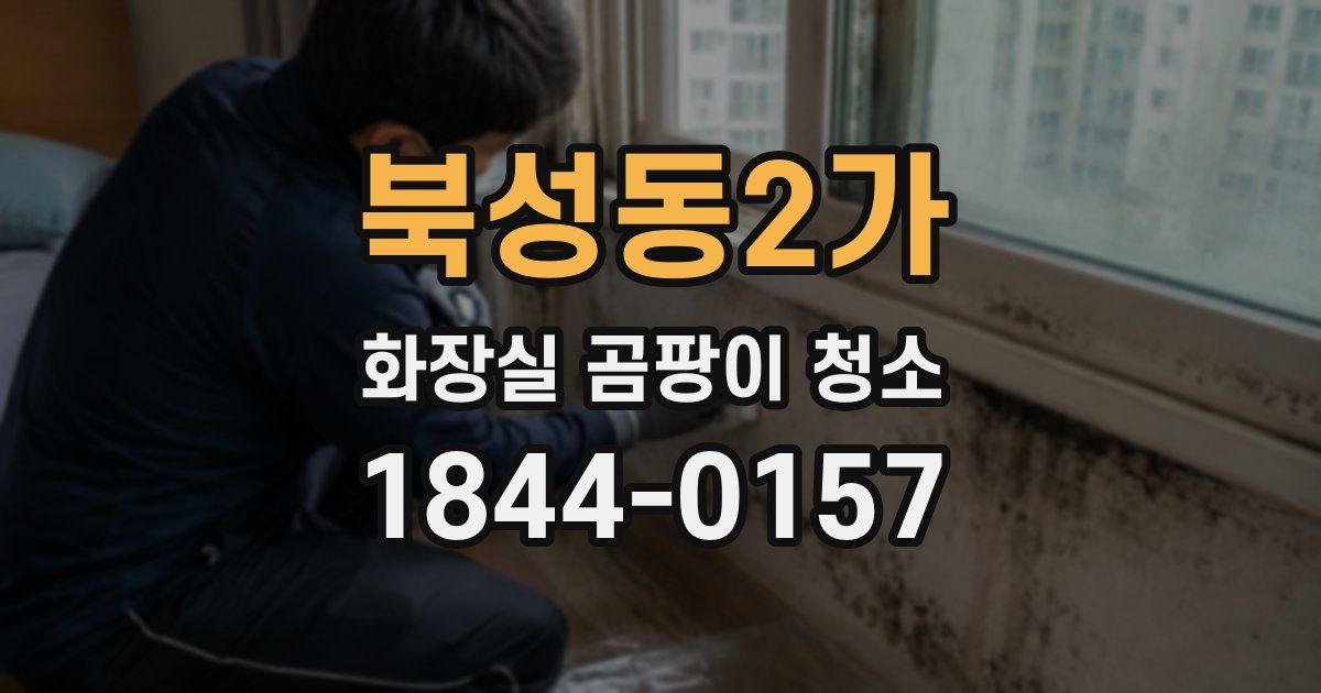 북성동2가 화장실 곰팡이 청소
