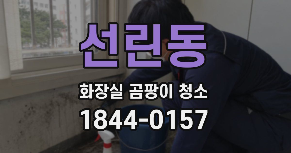 선린동 화장실 곰팡이 청소