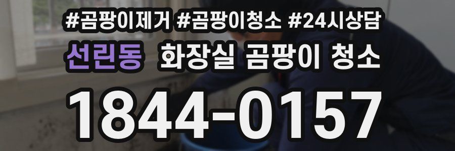 선린동 화장실 곰팡이 청소