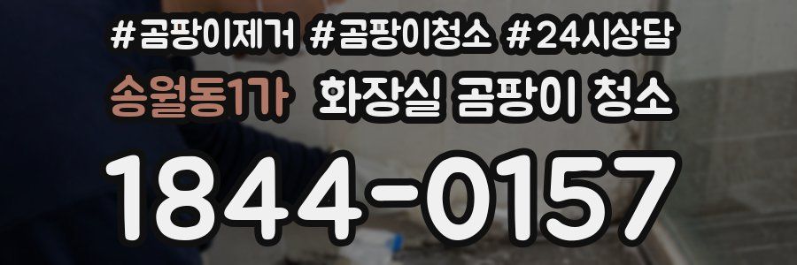 송월동1가 화장실 곰팡이 청소