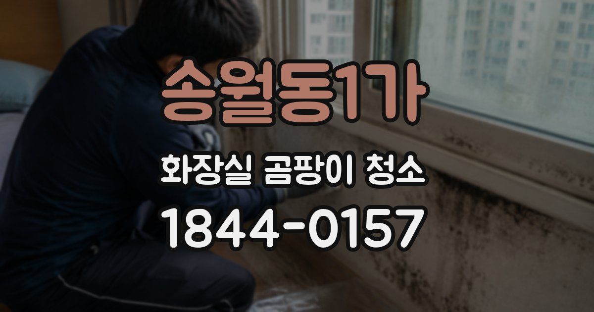 송월동1가 화장실 곰팡이 청소