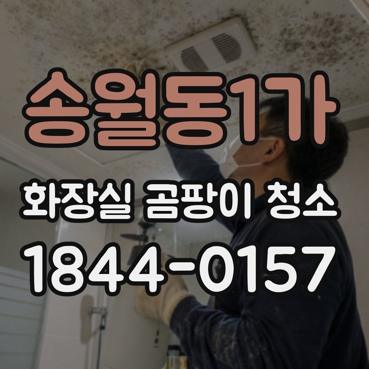 송월동1가 화장실 곰팡이 청소