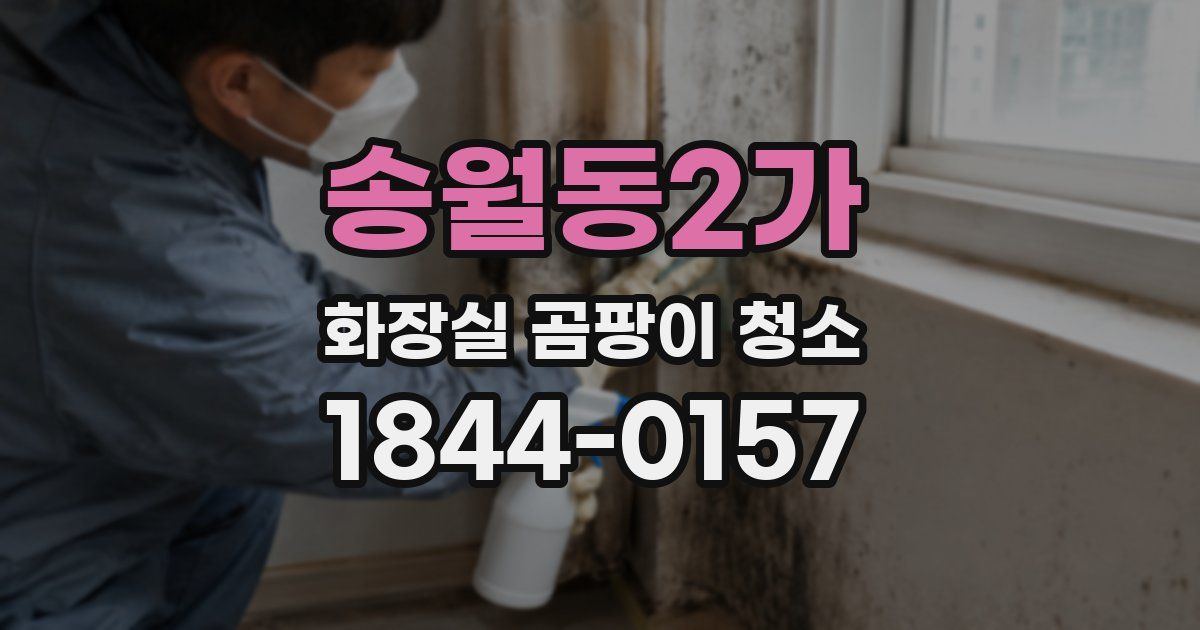 송월동2가 화장실 곰팡이 청소