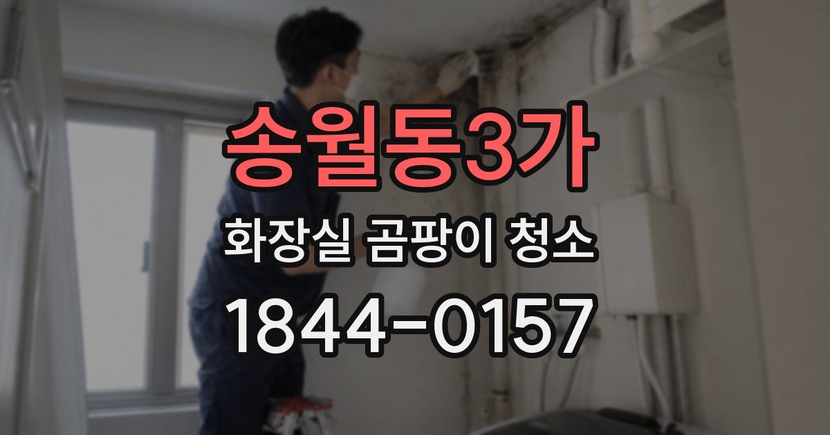 송월동3가 화장실 곰팡이 청소
