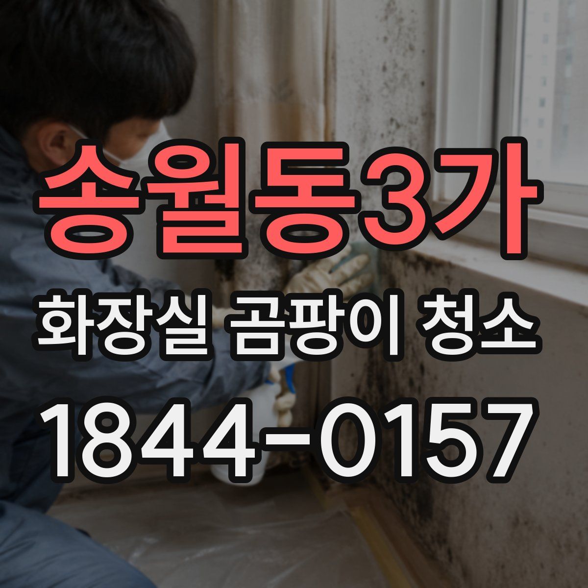 송월동3가 화장실 곰팡이 청소