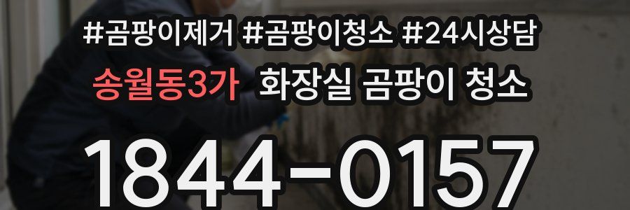 송월동3가 화장실 곰팡이 청소