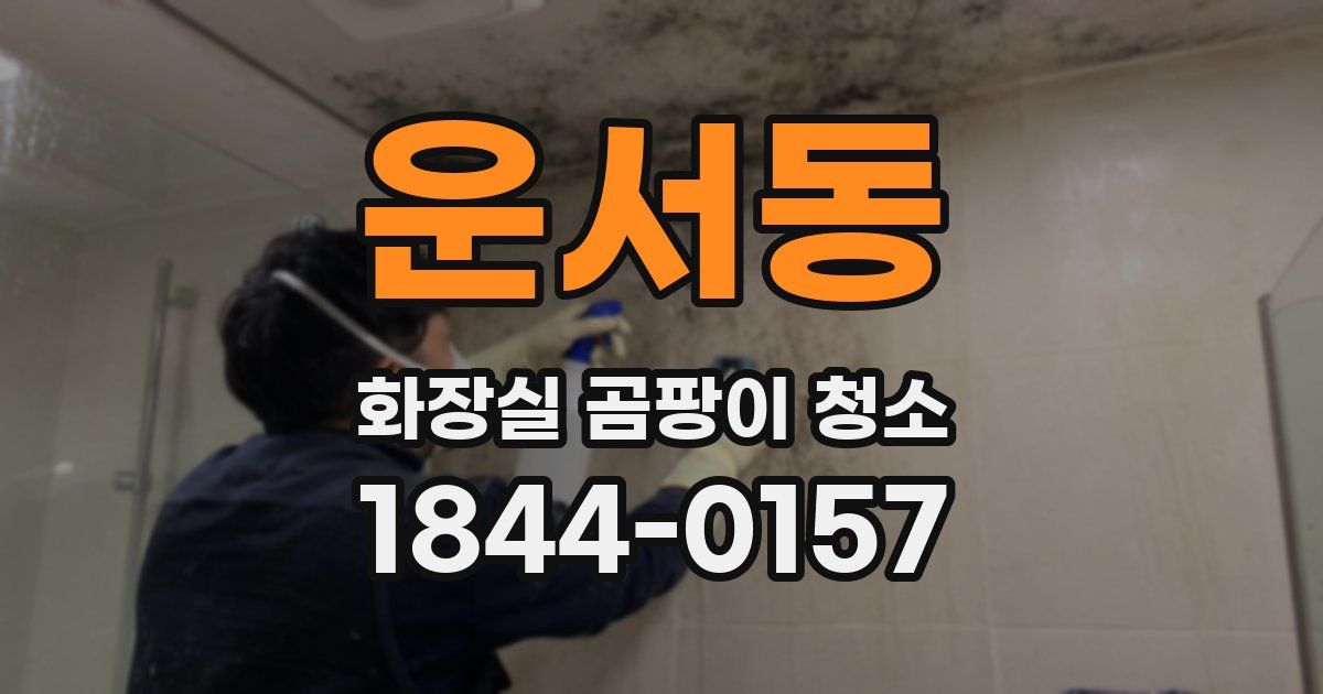 운서동 화장실 곰팡이 청소