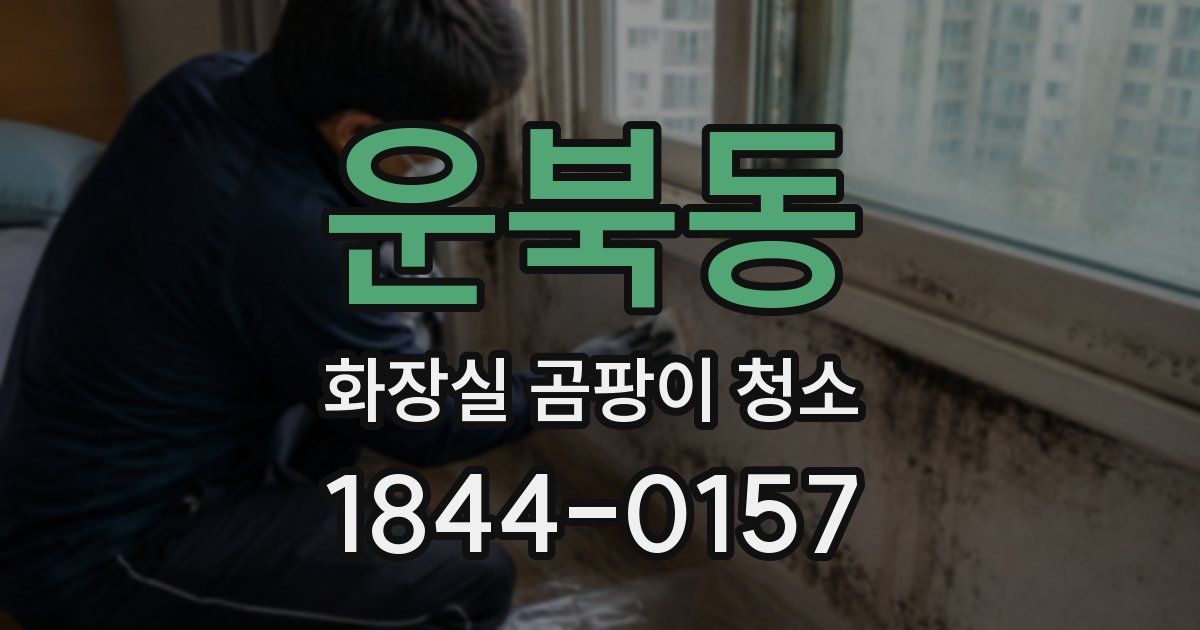 운북동 화장실 곰팡이 청소