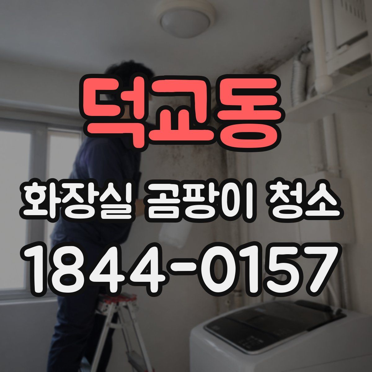 덕교동 화장실 곰팡이 청소