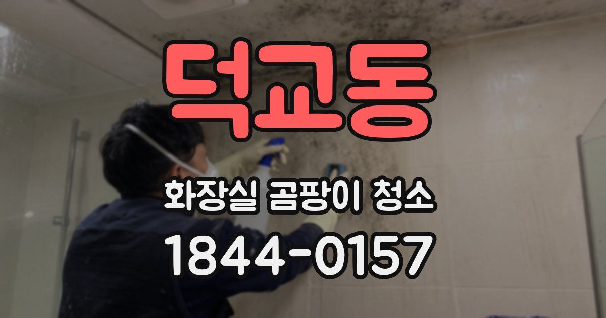 덕교동 화장실 곰팡이 청소