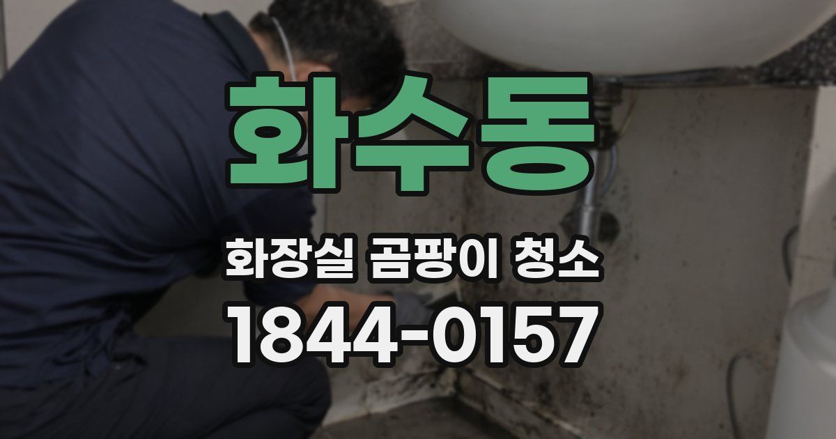 화수동 화장실 곰팡이 청소