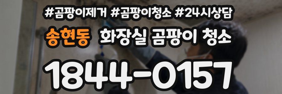 송현동 화장실 곰팡이 청소
