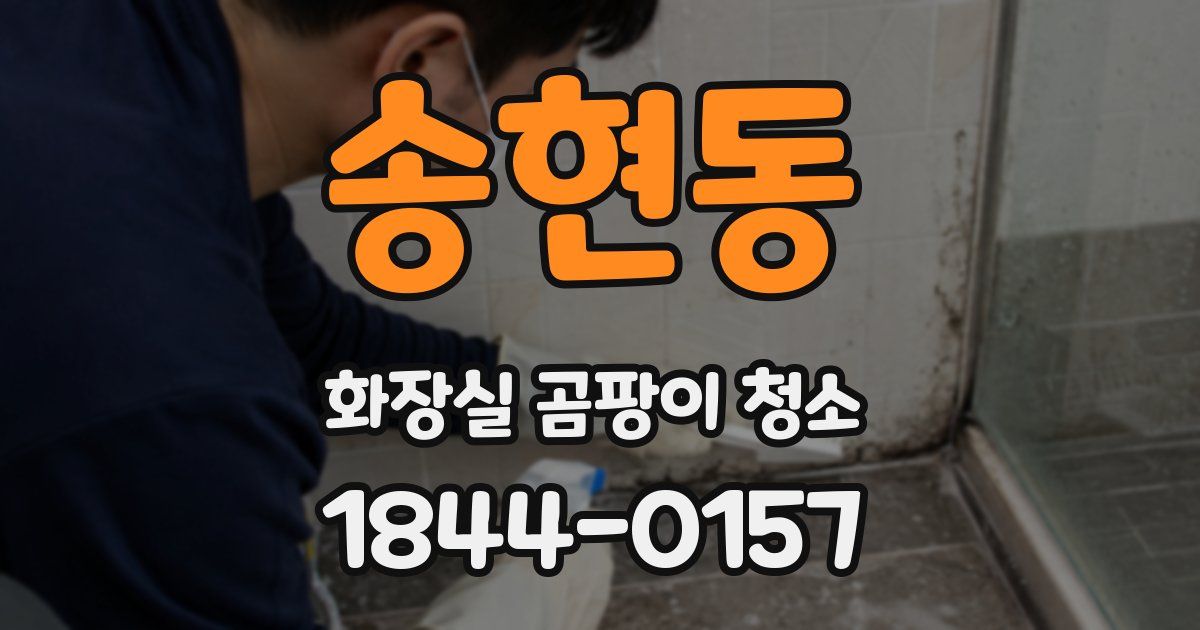 송현동 화장실 곰팡이 청소