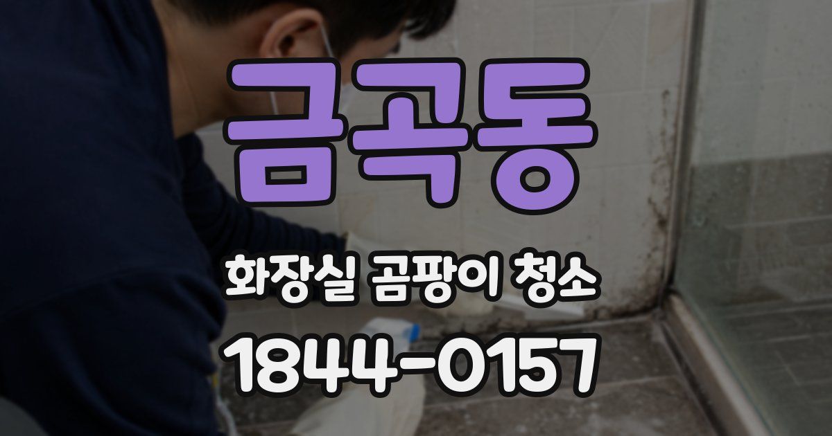 금곡동 화장실 곰팡이 청소