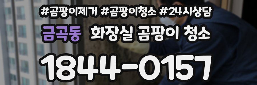 금곡동 화장실 곰팡이 청소