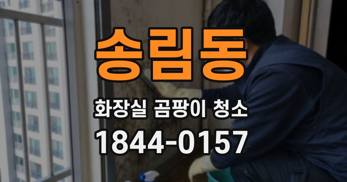 송림동 화장실 곰팡이 청소