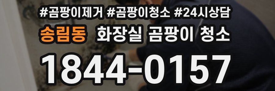 송림동 화장실 곰팡이 청소
