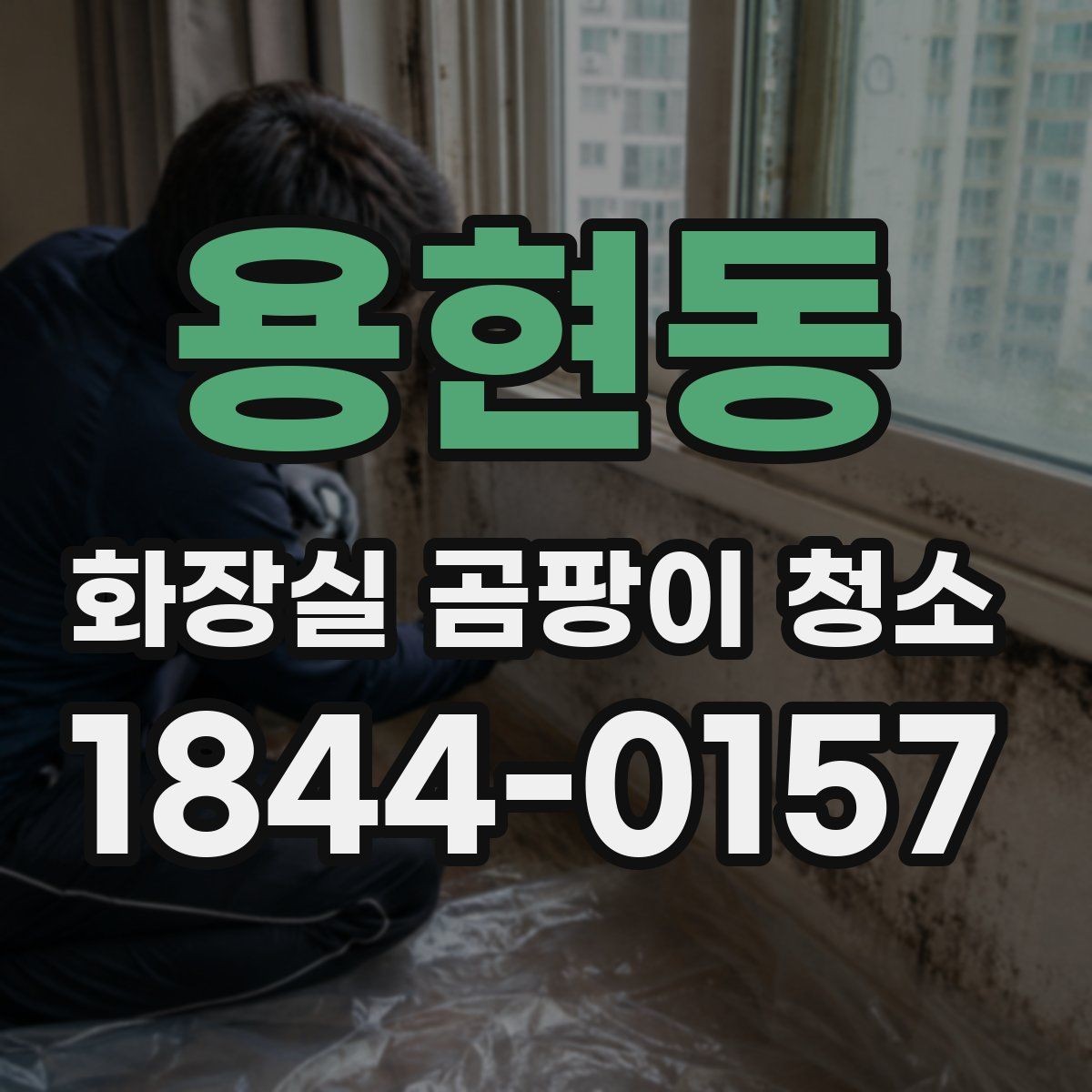 용현동 화장실 곰팡이 청소 세정제 선택 기준과 사용 순서 정리