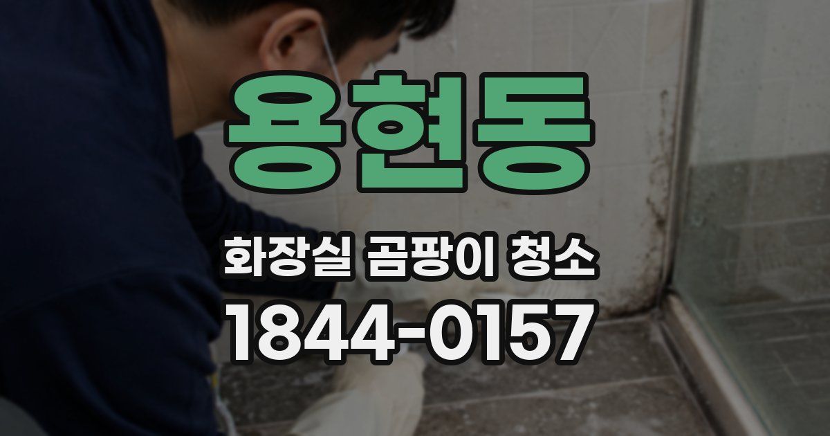 용현동 화장실 곰팡이 청소