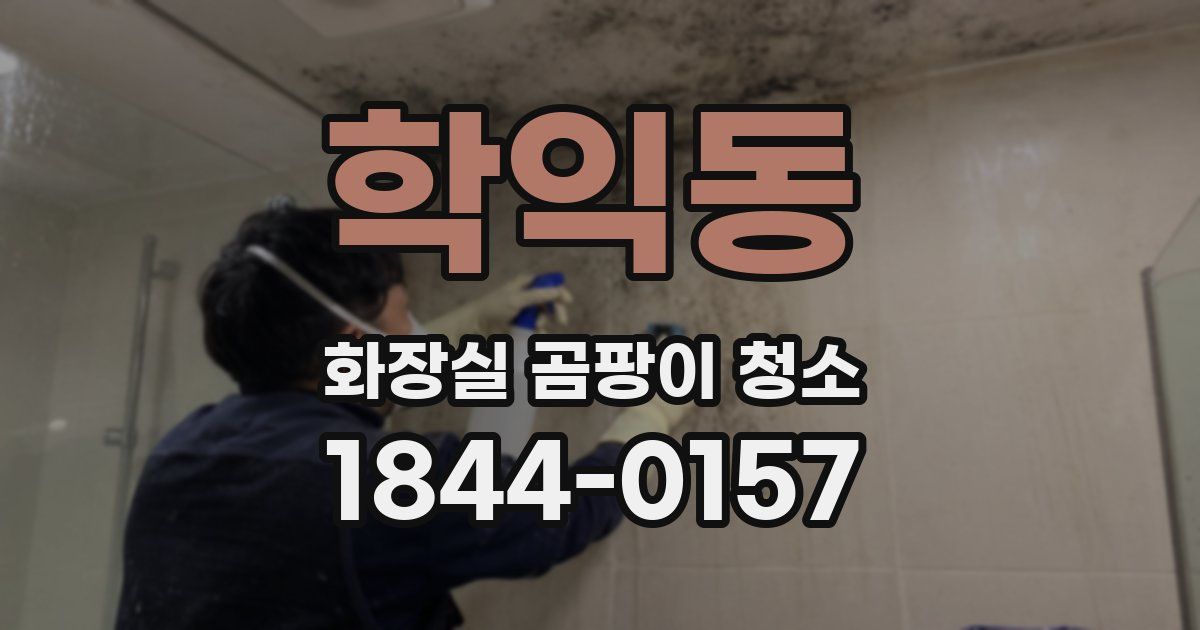 학익동 화장실 곰팡이 청소
