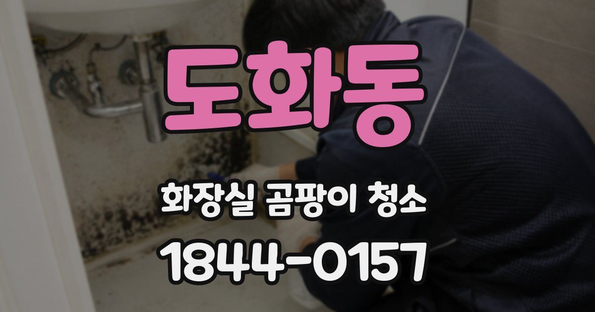 도화동 화장실 곰팡이 청소