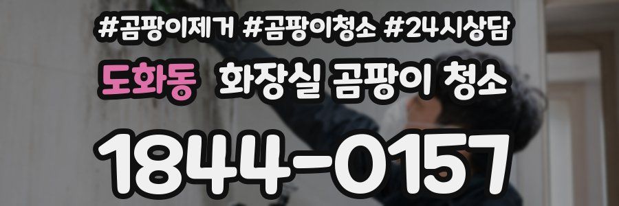 도화동 화장실 곰팡이 청소
