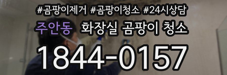 주안동 화장실 곰팡이 청소