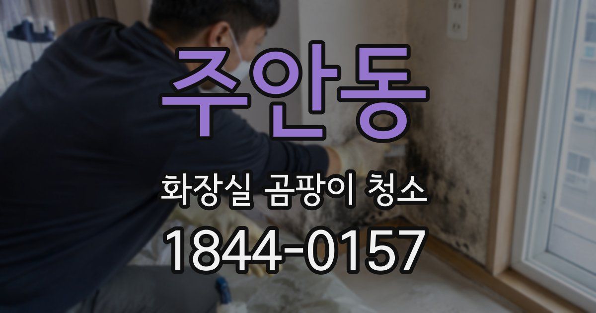 주안동 화장실 곰팡이 청소