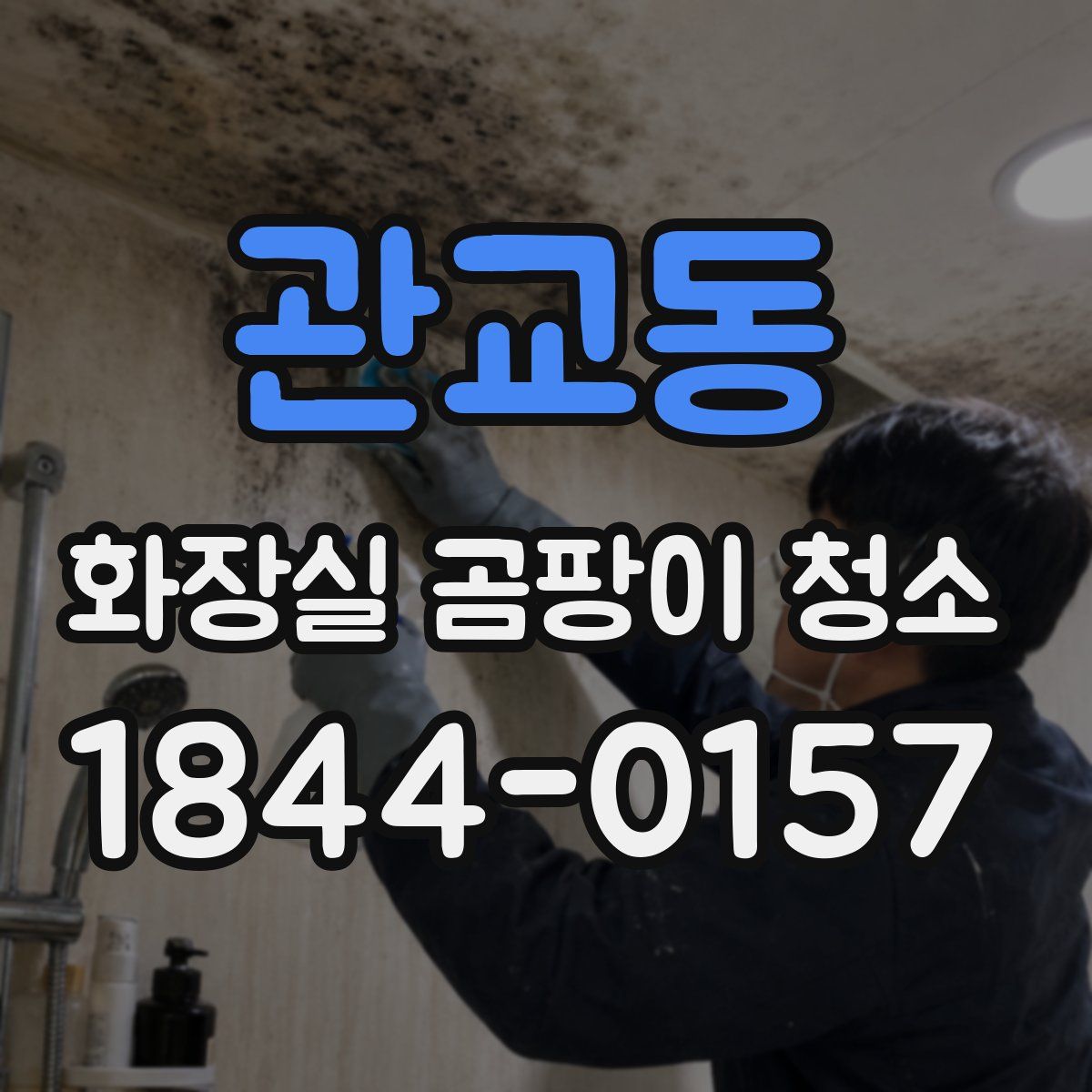 관교동 화장실 곰팡이 청소