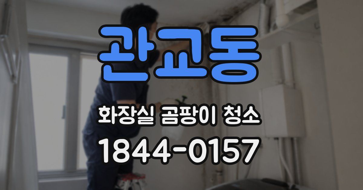 관교동 화장실 곰팡이 청소