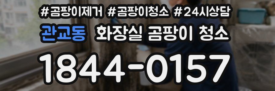 관교동 화장실 곰팡이 청소