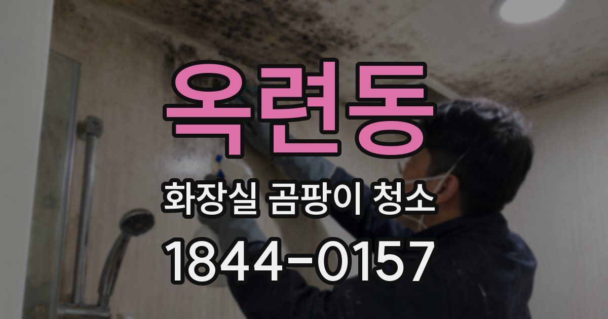 옥련동 화장실 곰팡이 청소