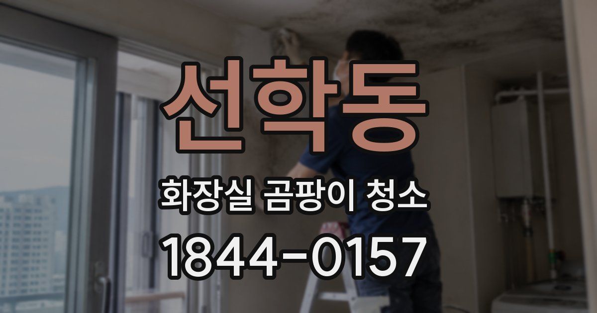 선학동 화장실 곰팡이 청소